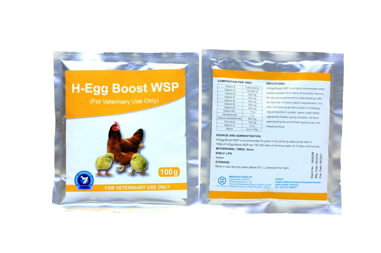 H-Egg Boost WSP