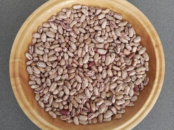Light Speckled Kidney Beans
