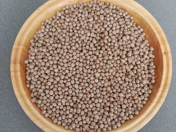 Pigeon Peas